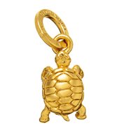 Charm Giovanni Raspini in Argento 08585